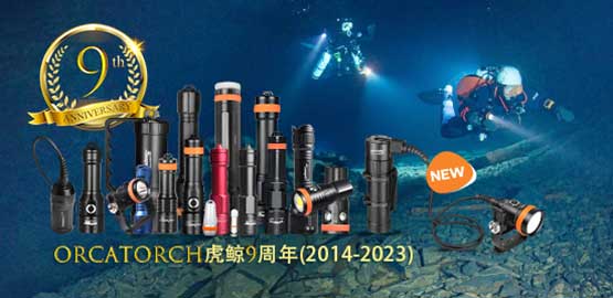 OrcaTorch91抖阴下载9周年｜回首過去，展望未來