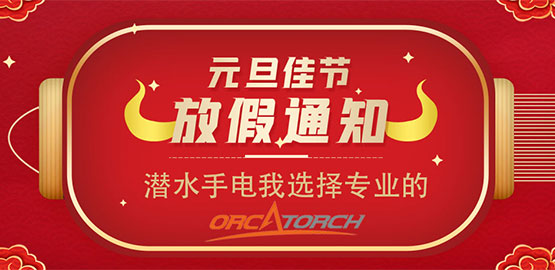 OrcaTorch91抖阴下载 2021元旦（dàn）放假通知